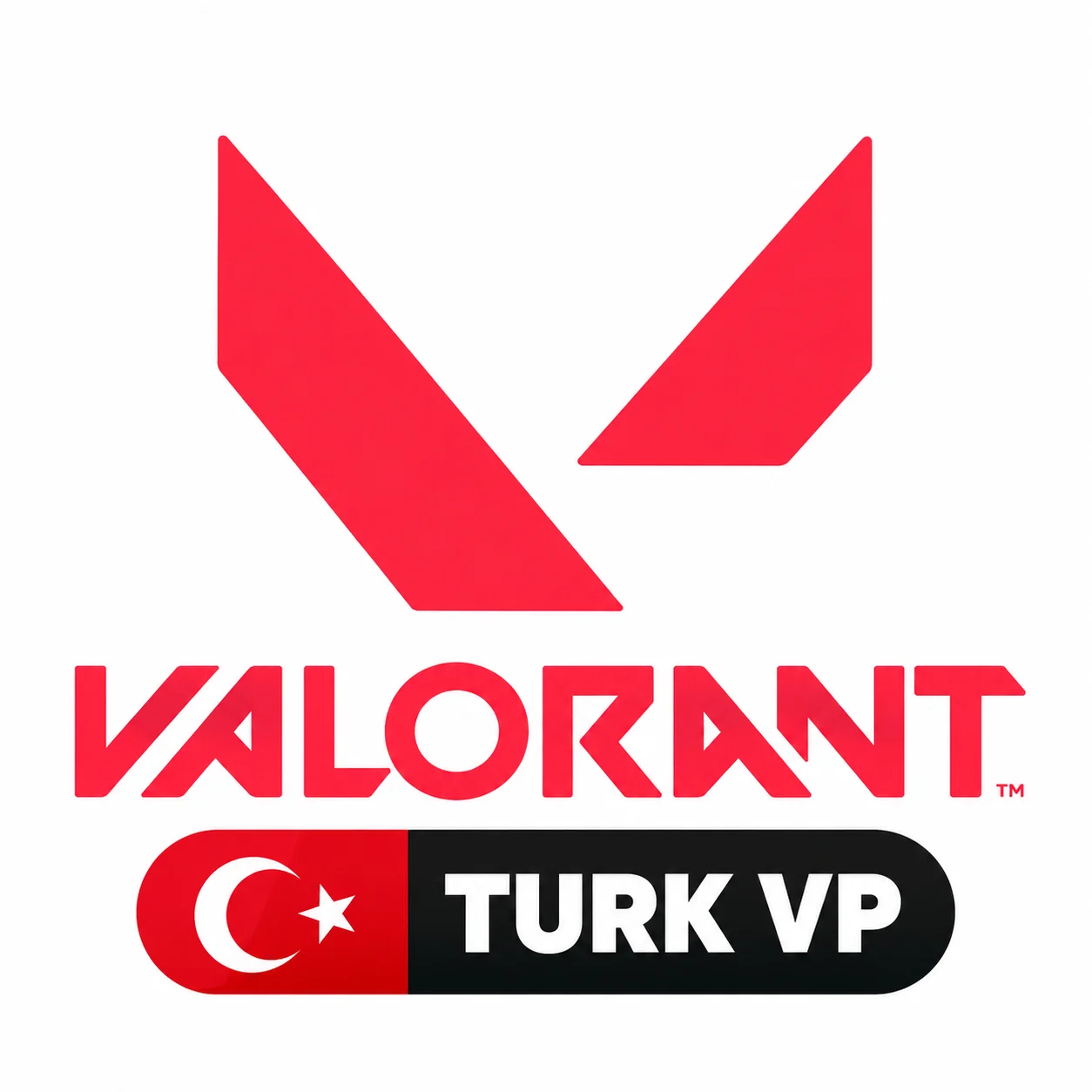 Valorant Point (Turk) game keys